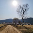 이목리 야구장 이미지