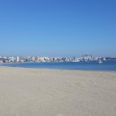 송도해수욕장 이미지