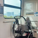 인터펫코리아 | 도쿄 빅사이트 2024 인터펫 일본 펫 박람회 첫방문 후기