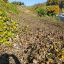 군포시보건소 버스정류소 이미지