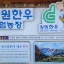 항우목장 네이버블로그