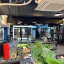 FIT U.S.A(피투사) 이미지