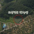 조미경농장 네이버블로그