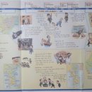 즐거운 한국사(하) 이미지