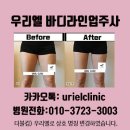 바디라인업