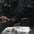 우리나라 이미지