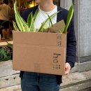 산세베리아 | 산세베리아 화분 분갈이 후기, 군자 중곡동 식물 가게 호지(hoji) 비용, 주차
