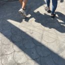 [2025년 코이카 프로젝트 봉사단 5기] 필리핀 파견 8주 차 후기