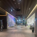 피티씨 | 평택장당동 피티씨골프방문후기