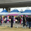 11650-17-30-9 | (실시간) 부산 제9회 강서 낙동강30리 벚꽃축제 후기