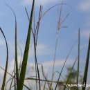 산처럼물처럼 이미지