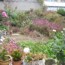 고부중학교 이미지