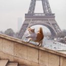 마리호텔 이미지