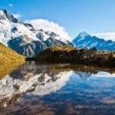 뉴질랜드 - 남구 분포로 145 | 뉴질랜드