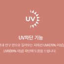 아이리스안경 이미지