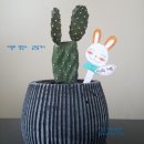 원스톱세무회계&공인중개사사무소 이미지