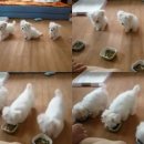 형제PC 이미지