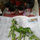 나누는기쁨약국 이미지