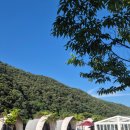 천년양평해장국 | 양평 정육점 추천. 용문시장 정육마트 한우모듬세트 후기