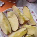청구할인마트 | 영주사과 온라인 주문 솔직 후기 맛있는 사과 추천해요