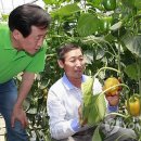 석권농장 이미지