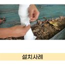 트리케어 이미지