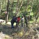 하늘내린농장 이미지