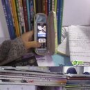 휴대폰챔피언