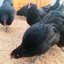 아성슈퍼 이미지