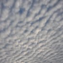 뜬봉샘농장 이미지