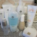 뉴 스킨 이미지