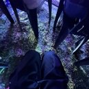 조형물1 | 사과같은 내얼굴 | #장수한우랑사과랑축제 #전북장수 #트리플에스 #리센느 #에일리