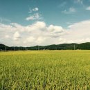 밧개오션텔 이미지