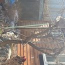 생극약국 이미지