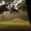 탈해왕릉 이미지