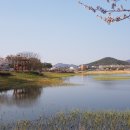 화랑유원지 이미지