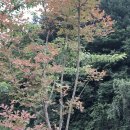 차항1리경로당 이미지