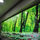 영광수지 이미지