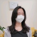 도유보네르 이미지