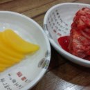 손국시
