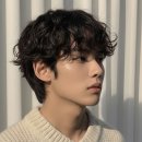 프링헤어 이미지