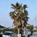 제주도게스트하우스카프리애월민박