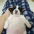 더오브젝트 이미지