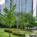 내포 장자빌딩 이미지