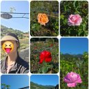 수아농장 이미지