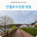 반월공원 화장실 이미지