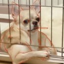 피트니스 크루 천천점 이미지