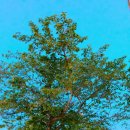 청담 관광농원 | ♥경주여행♥강릉여행♥구리피부과 구리필러 구리성형외과 톡스앤필구리점 구리톡스앤필 톡스앤필