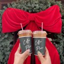 스테이목아 이미지