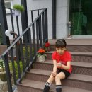 또바기콘도 이미지